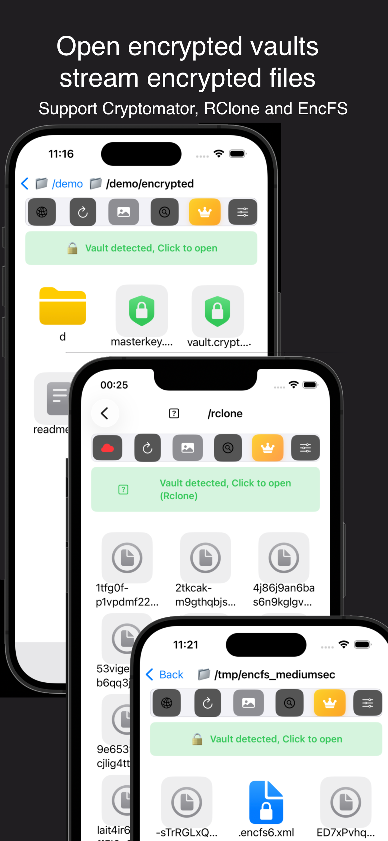 An encrypted Cryptomator vault opened inside Cloud Media Streamer