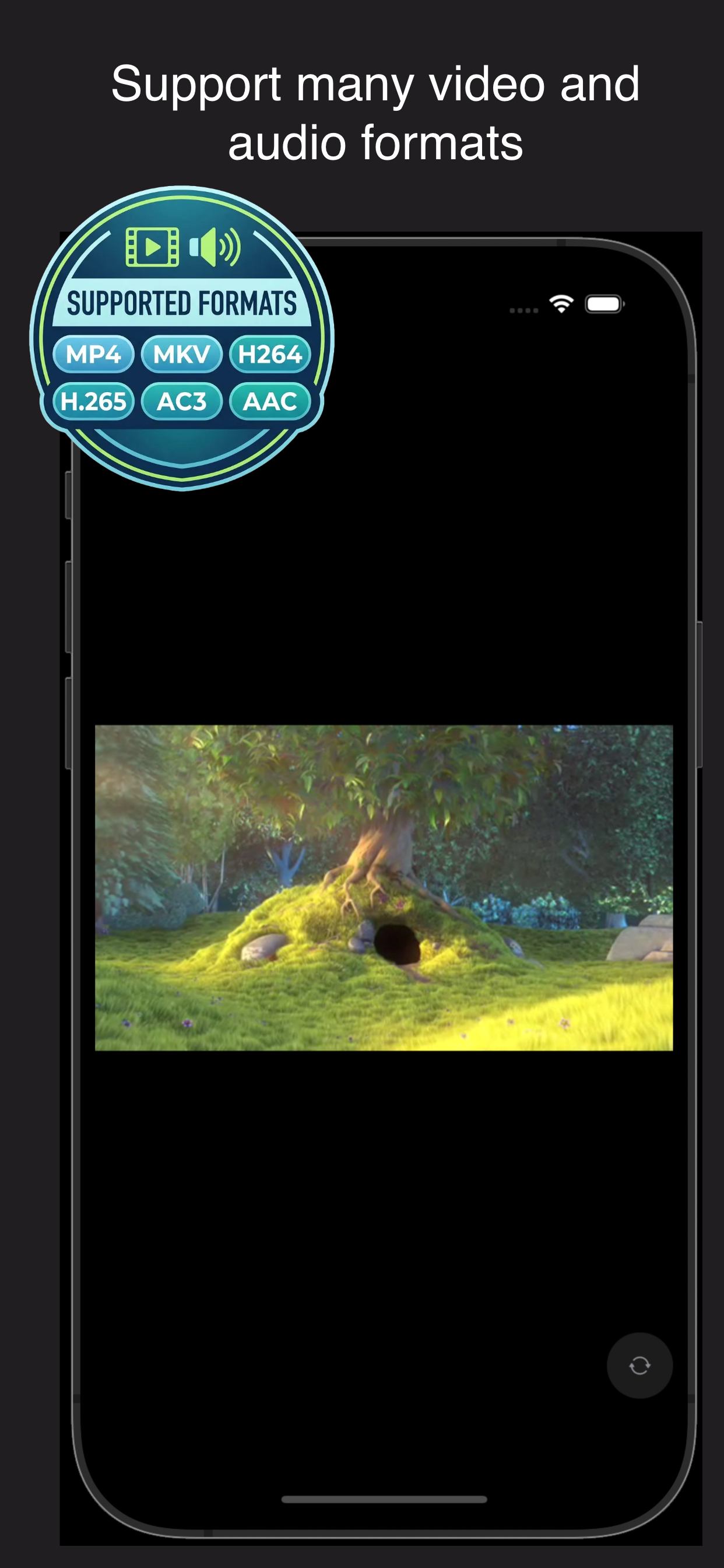 Supported video and audio formats in Cloud Media Streamer